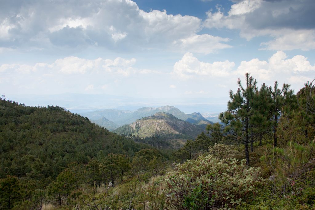 Cerro de las Navajas